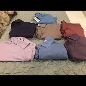 7 Turtleson polo shirts